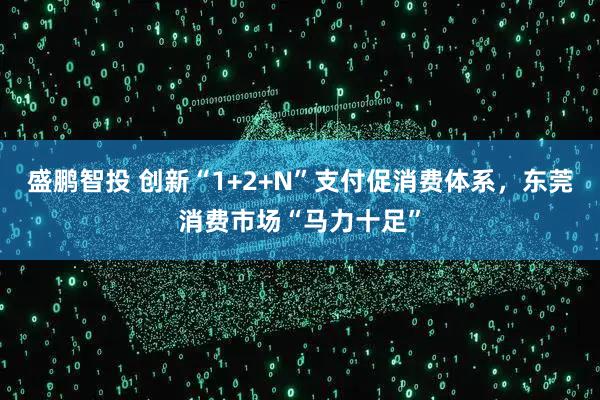 盛鹏智投 创新“1+2+N”支付促消费体系，东莞消费市场“马力十足”
