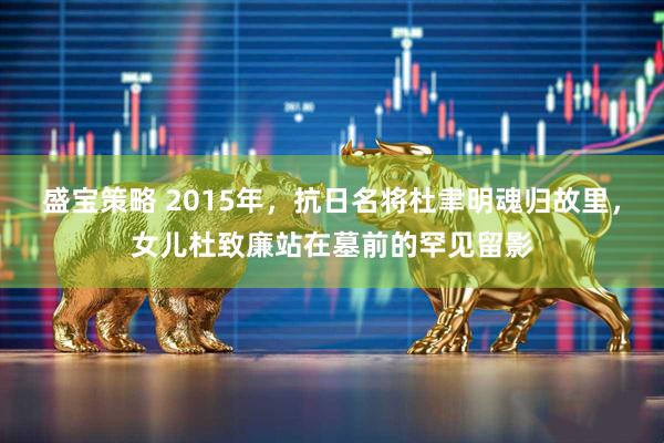 盛宝策略 2015年，抗日名将杜聿明魂归故里，女儿杜致廉站在墓前的罕见留影