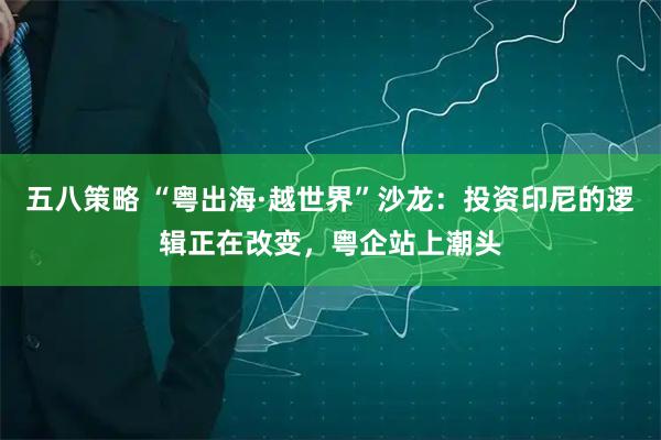 五八策略 “粤出海·越世界”沙龙：投资印尼的逻辑正在改变，粤企站上潮头